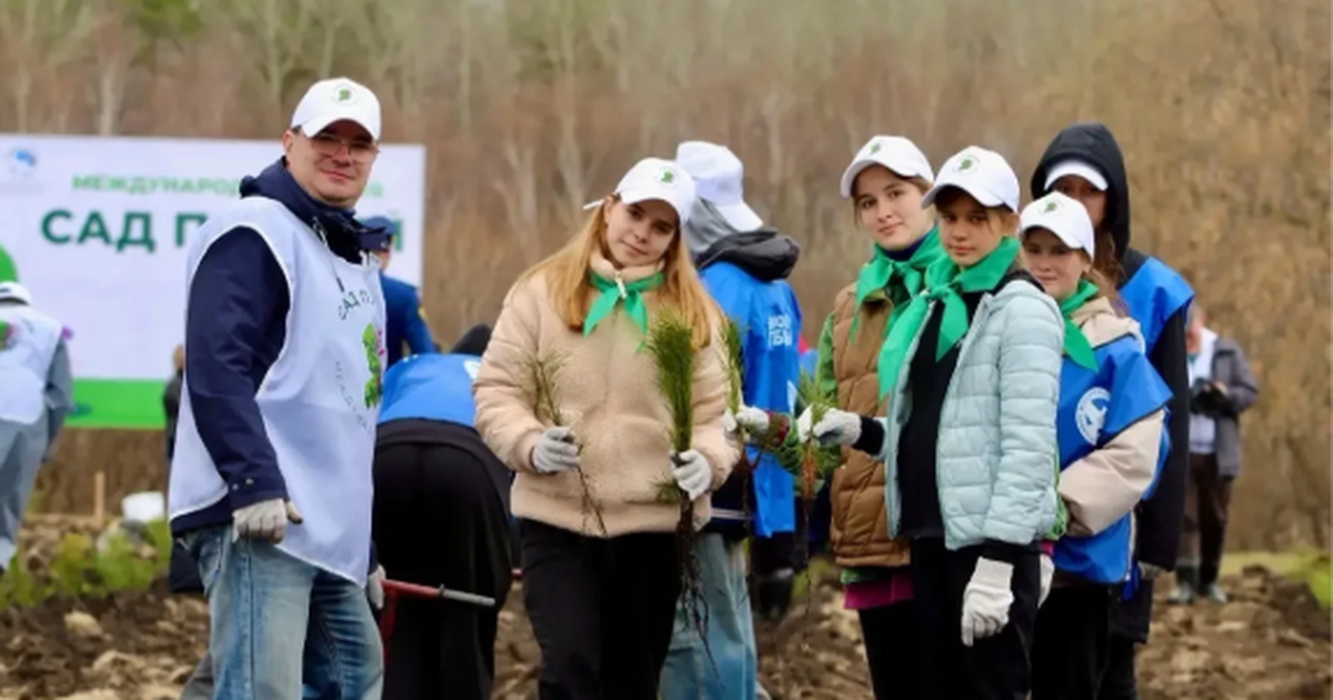 В Красноярском лесничестве за один день высадил...