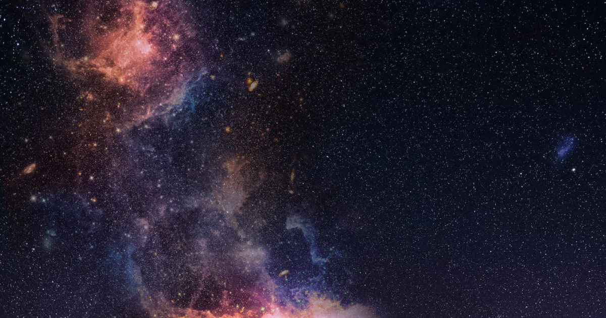 Учёные исследуют, как бактерии и грибы помогают...