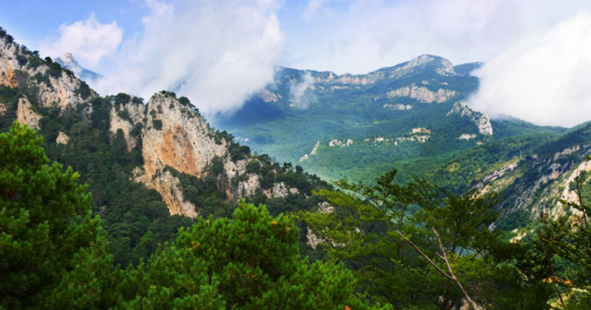 Россиянка объяснила, зачем туристам стоит возвращаться в Абхазию Путешественница из России Елена Попова рассказа...