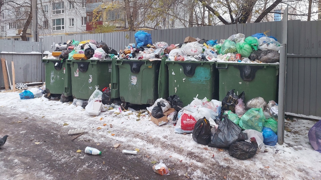 В частности, установлены факты несвоевременного...