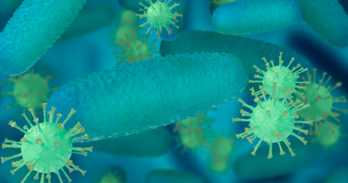 Учёные Гарвардской медицинской школы выяснили, ...