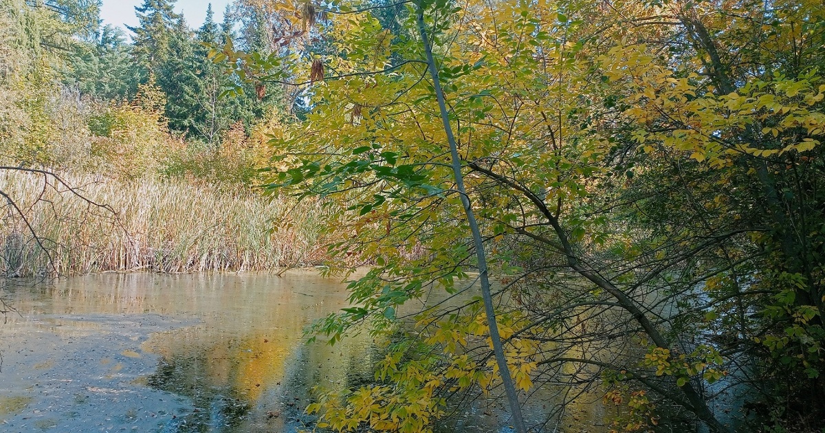 В Самарской области ожидаются температурные колебания в выходные Прогноз опубликован Приволжским УГМС