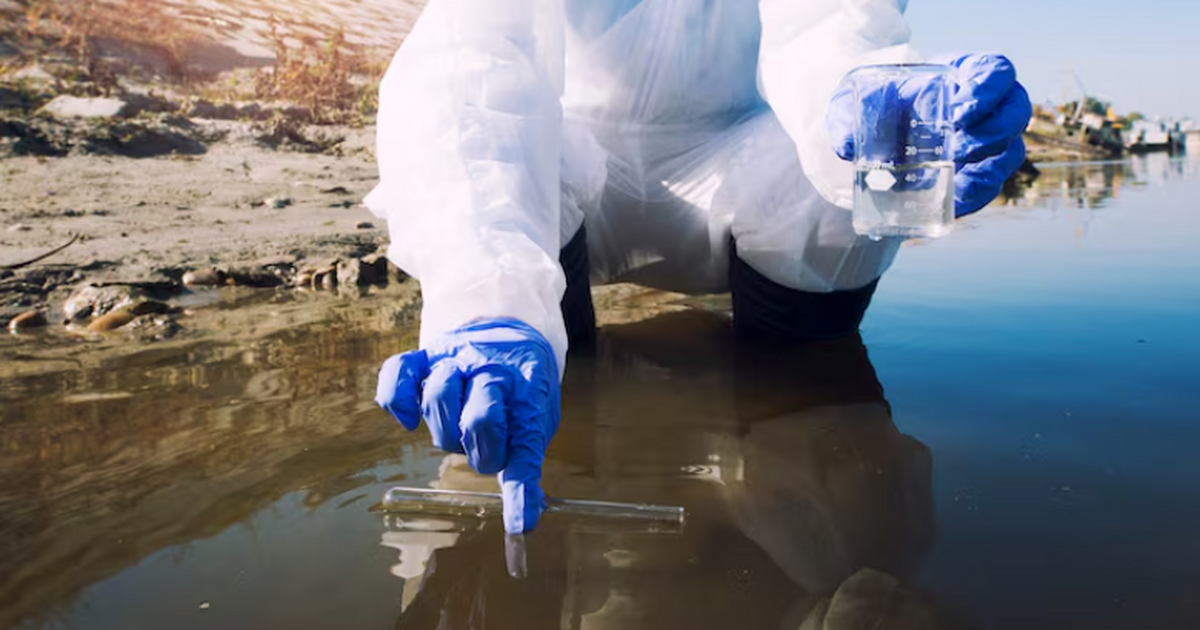 Мощные сорбенты для очистки сточных вод создали ученые РФ и КНР Учёные СФУ и КНР разработали селективные сорбен...