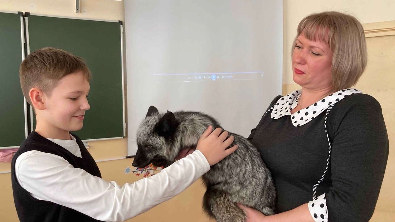 Эта история началась осенью шесть лет назад, ко...