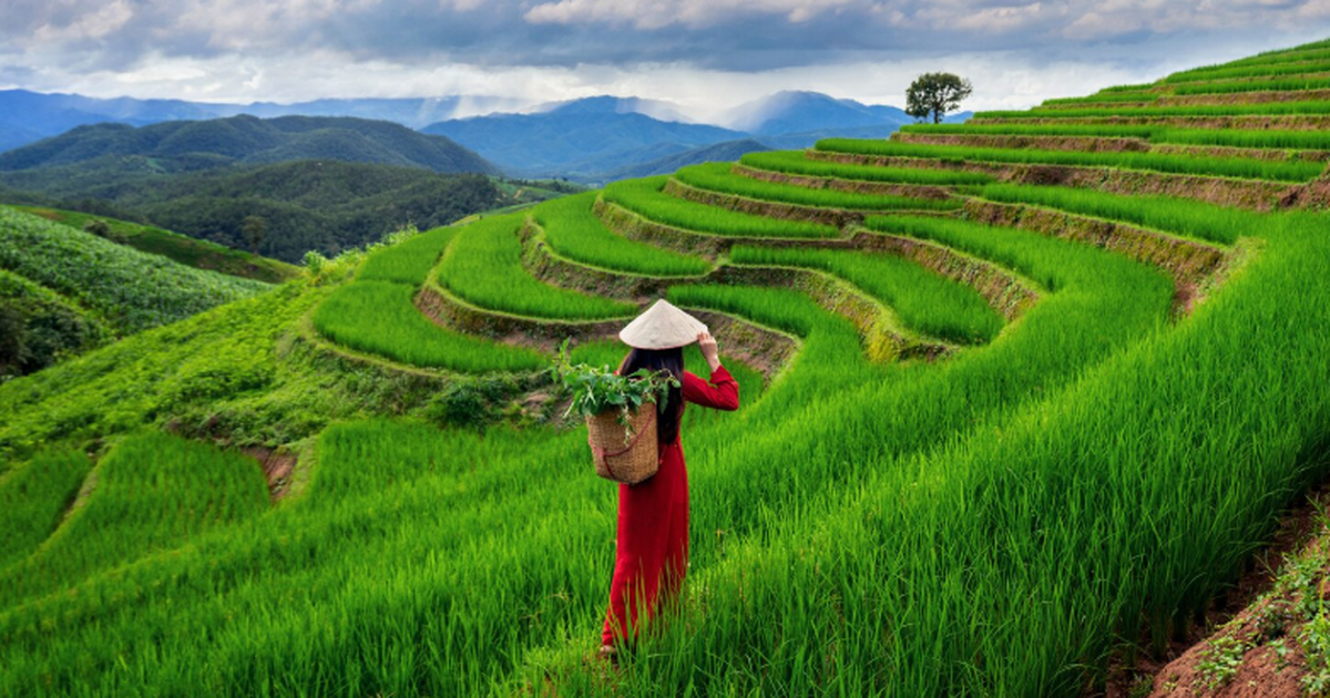 Российские туристы во Вьетнаме сталкиваются с х...