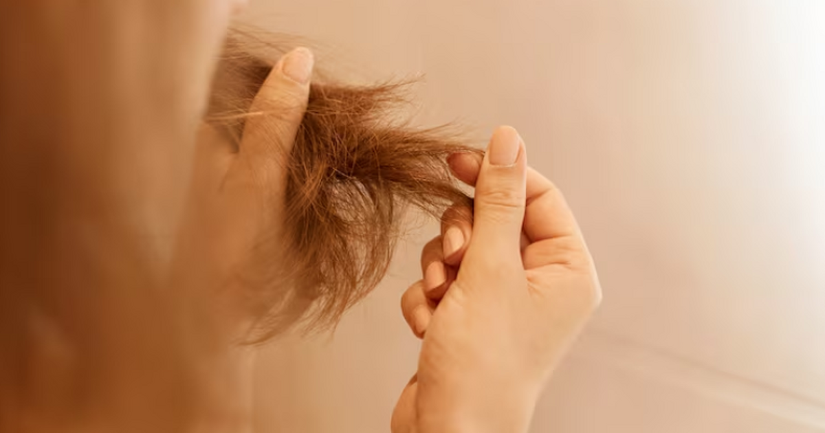 Учёные Charité Berlin разработали тест по волос...