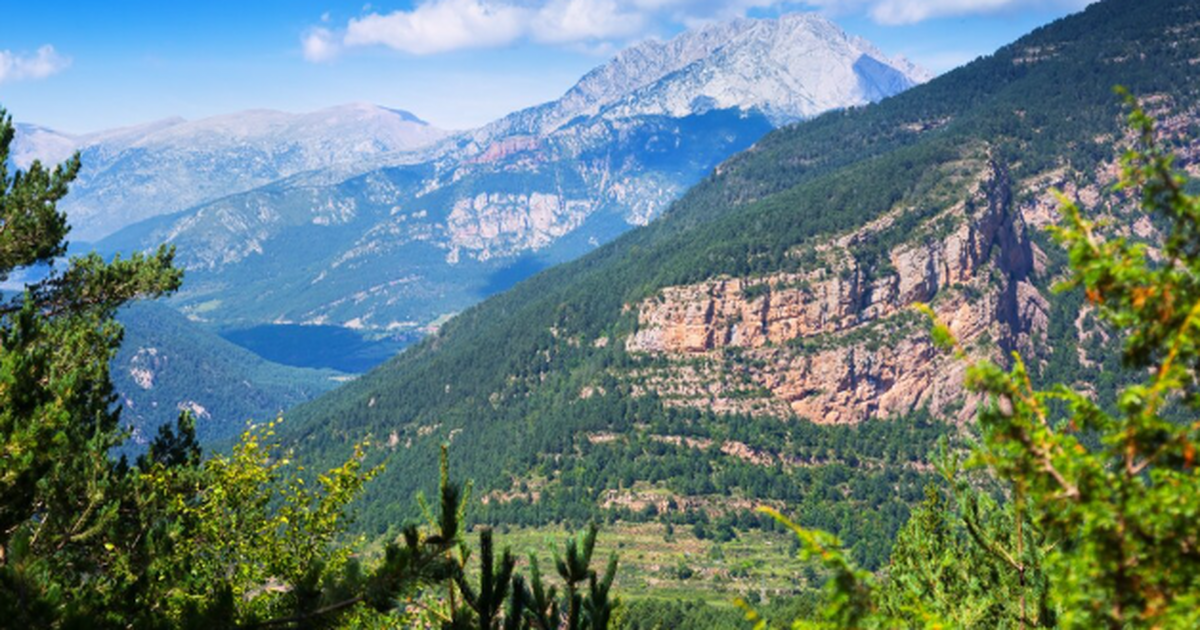 Некоторые отдыхающие в Пицунде рассказали о нег...