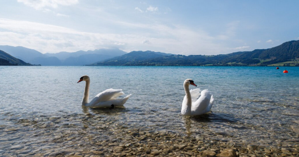 Сообщения о возможном открытии пляжей Анапы не ...
