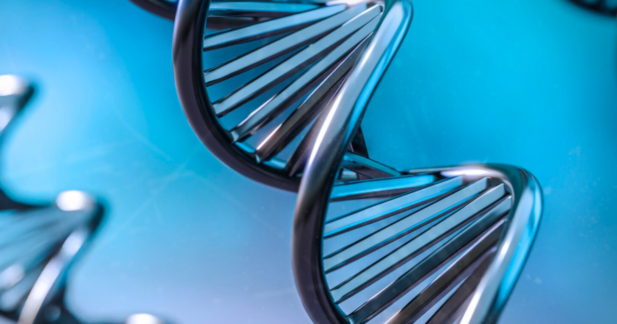 Российские учёные предложили рассматривать ДНК как систему знаков Исследователи предложили рассматривать генетиче...