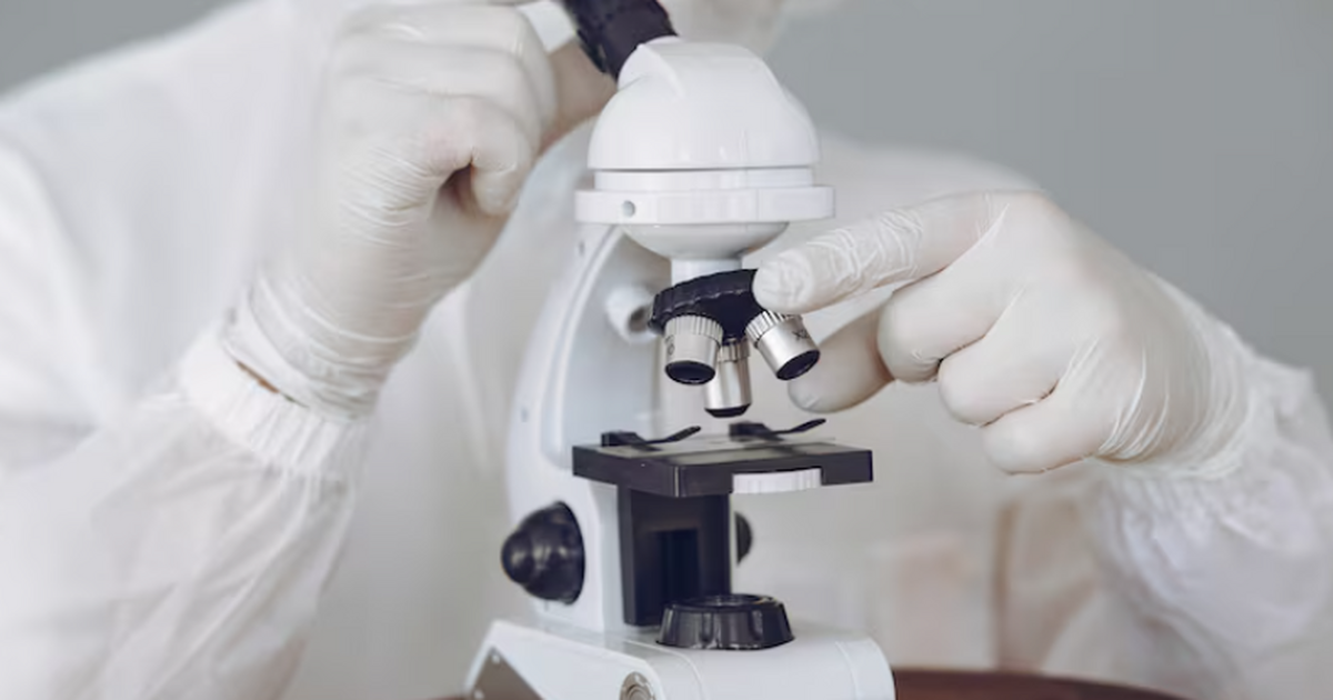 Врачи МГУ предложили новый метод таргетированной терапии онкологии Учёные МГУ изучили роль белка p53 в развитии ра...