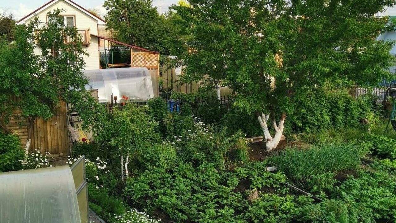 Немецкие учёные взорвали агросферу: почва оживает за считанные дни Немецкие инженеры создали метод оперативного во...
