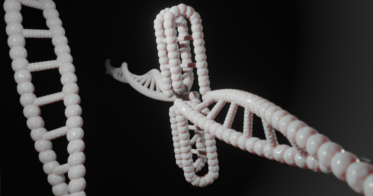 Российские ученые описали новую форму артрогрипоза по гену UTRN Артрогрипоз является редким генетическим заболе...