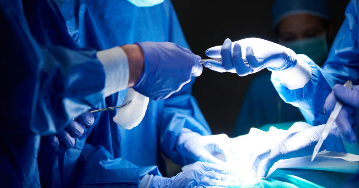 Наука уточнила: омоложение до 150 лет не связано с пересадкой органов Сообщили о работе, касающейся осложнений при пе...