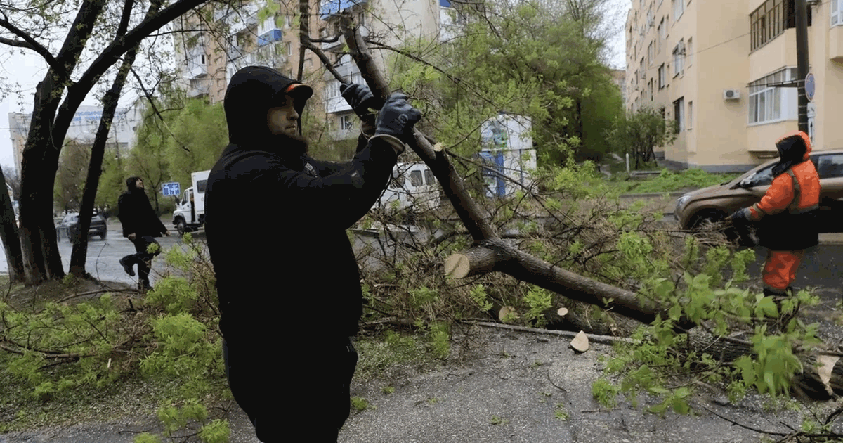 Глава Самары Иван Носков рассказал о причинах в...