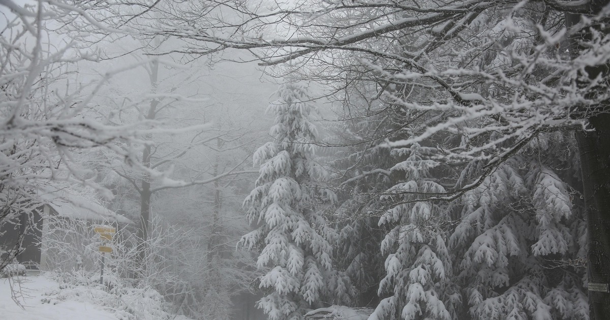 Соответствующее предупреждение опубликовало ГУ ...