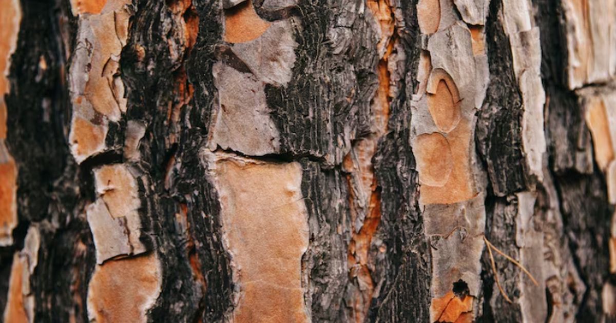 Пермские исследователи разработали новый способ...