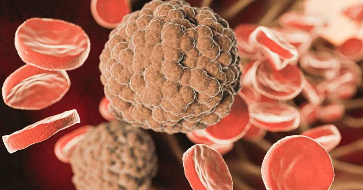 Исследование Юго-Западного медицинского центра ...