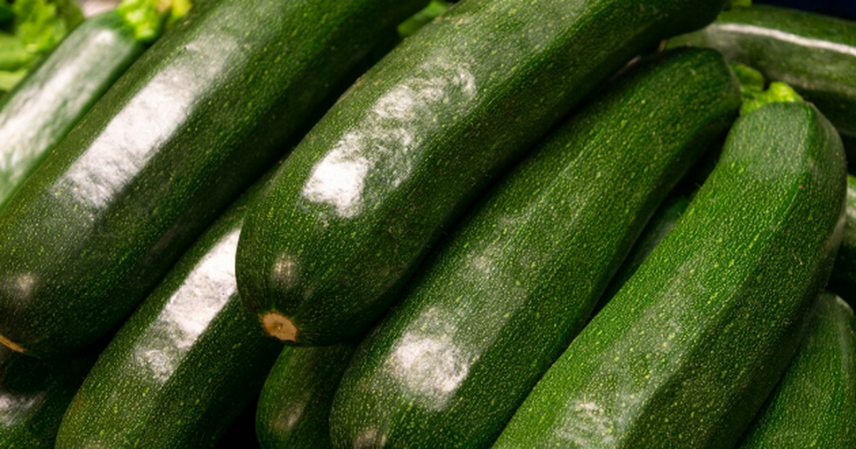 Кабачок «Ролик»: урожай через месяц, даже если ...