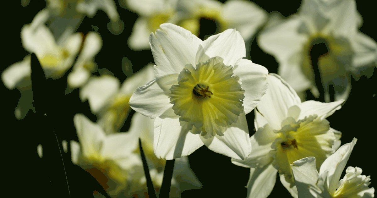 Исследование в Social Psychological and Persona...