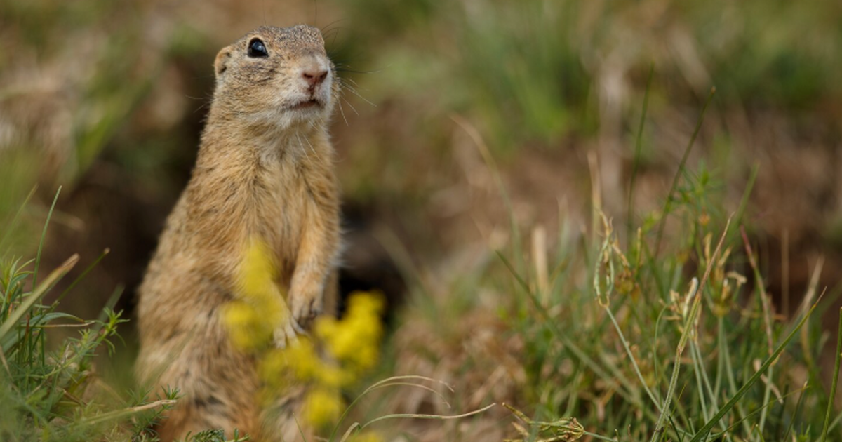 Археолог рассказала, что при изучении памятнико...