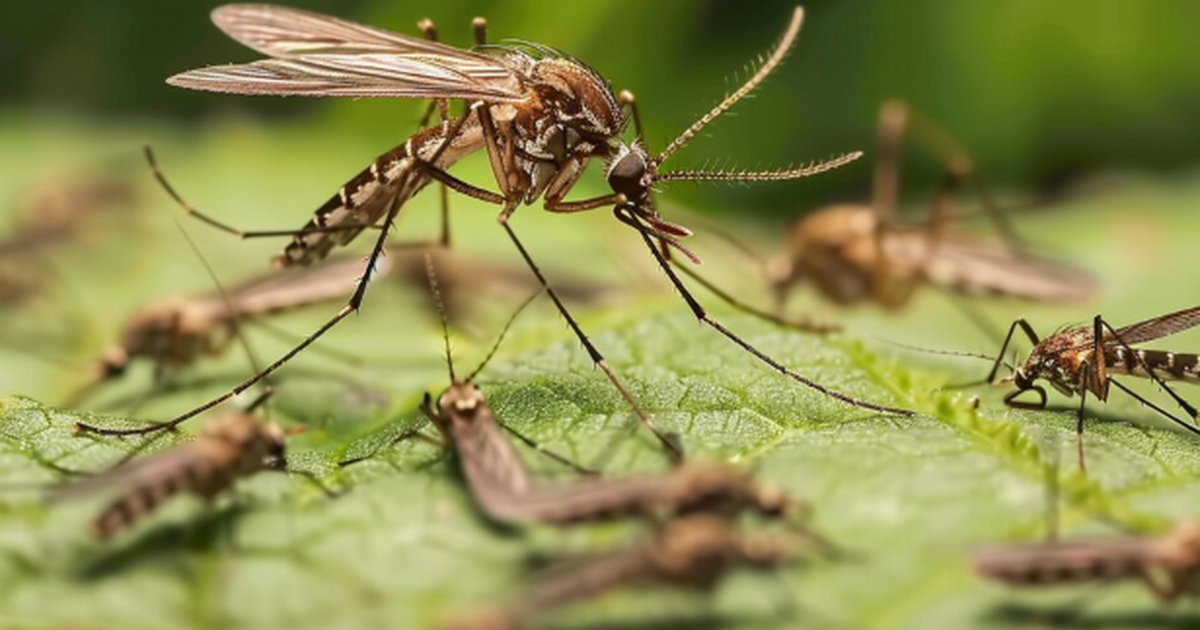 Исландия долгое время оставалась единственной с...