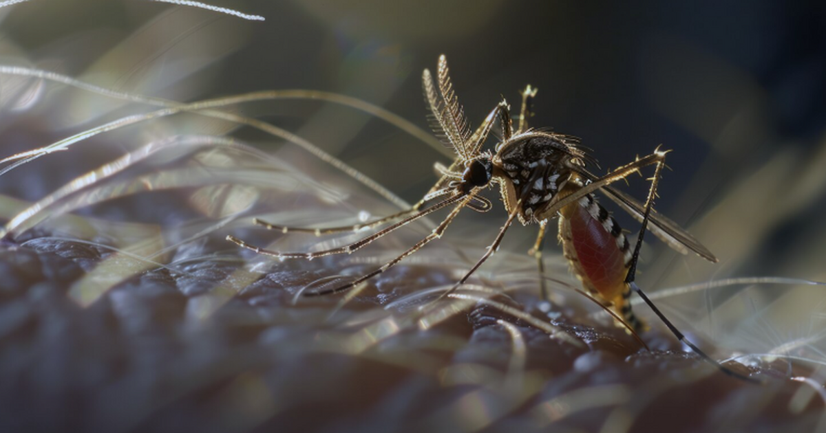 На Гавайях учёные задействовали дроны для сброс...