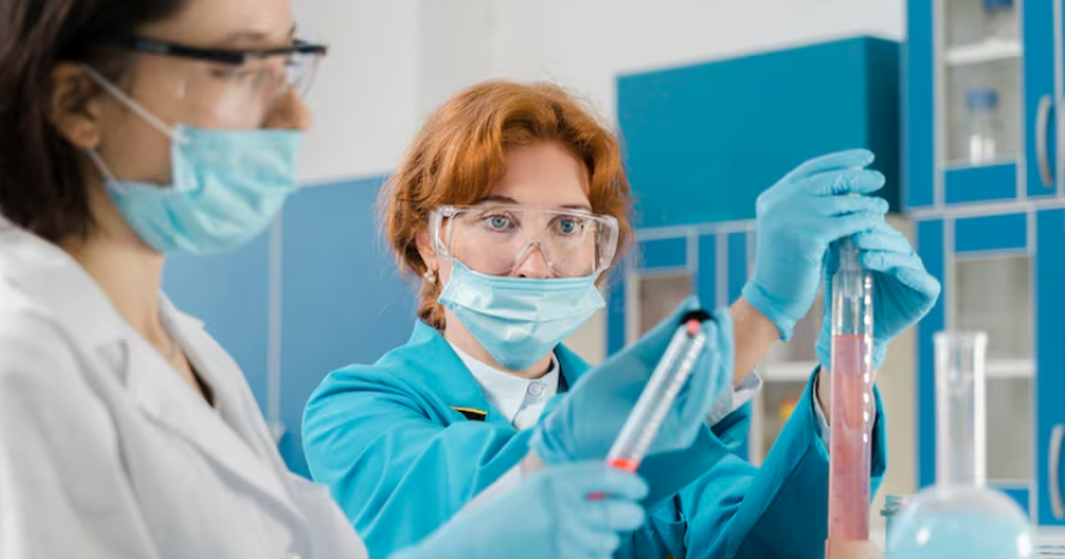 Химики Коми создали на основе хвойных растений ...