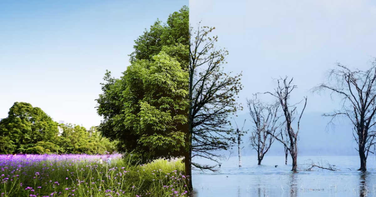 Учёный КамГУ предложил новую методику адаптации к изменению климата Учёные разработали методические рекомендации по...