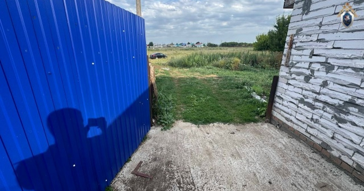 Житель Самарской области получил 7 лет колонии за убийство сожительницы Мужчина застрелил сожительницу из охотничьего р...