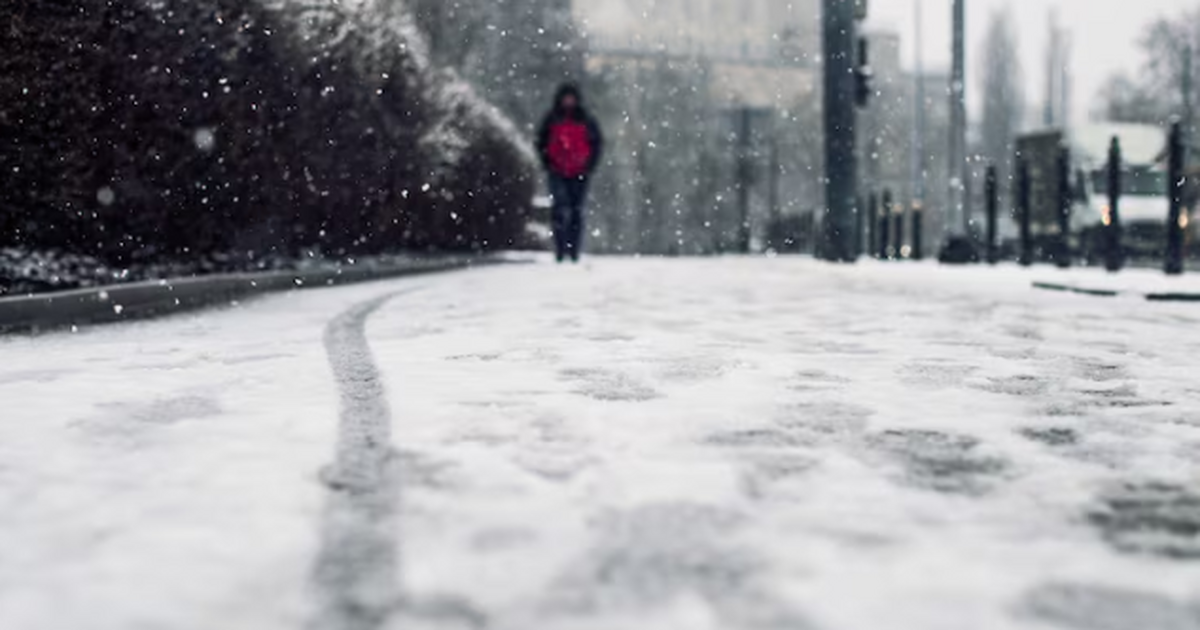 Январские морозы захватят Россию уже в ноябре: Вильфанд испугал россиян новым прогнозом Гидрометцентр предупреждает: зимний холод придё...