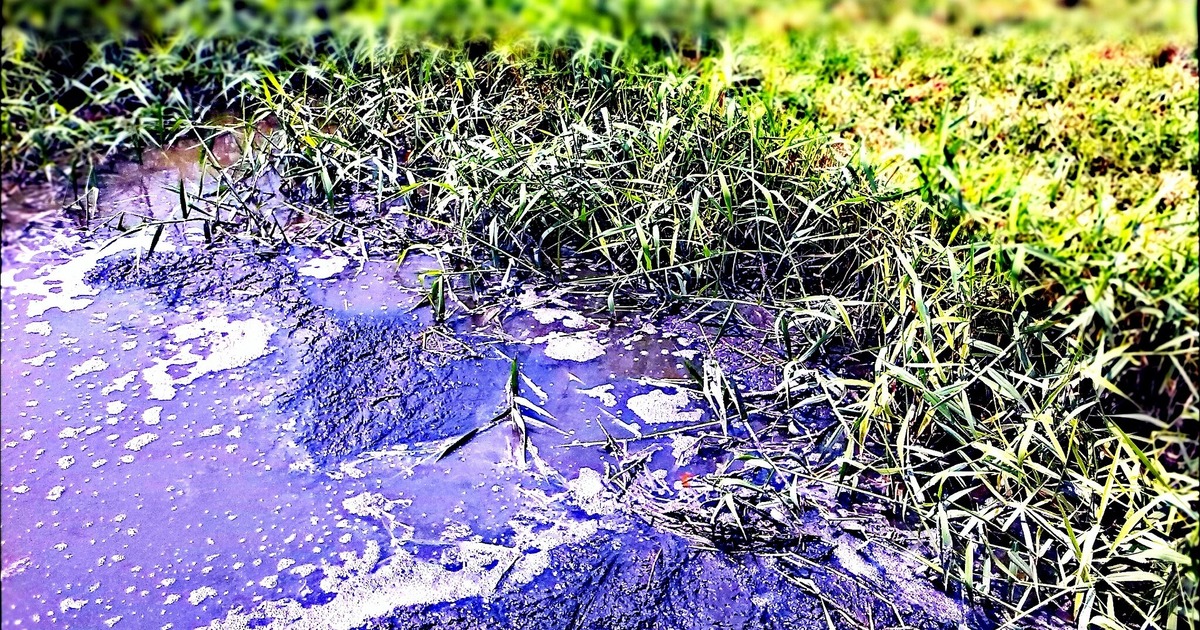 Проект постановления мэрии проходит экспертизу