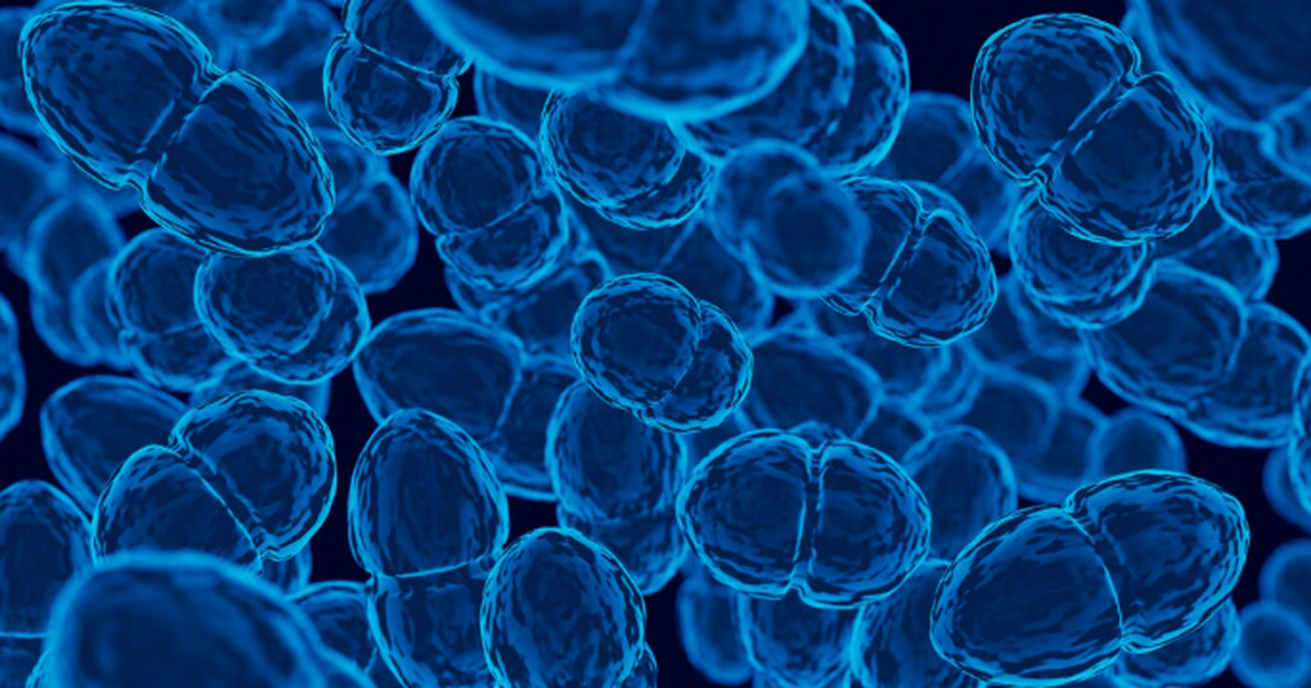 Ученые: Бактерия пародонтита может запускать развитие рака молочной железы Связанная с пародонтитом бактерия Fusobacterium...