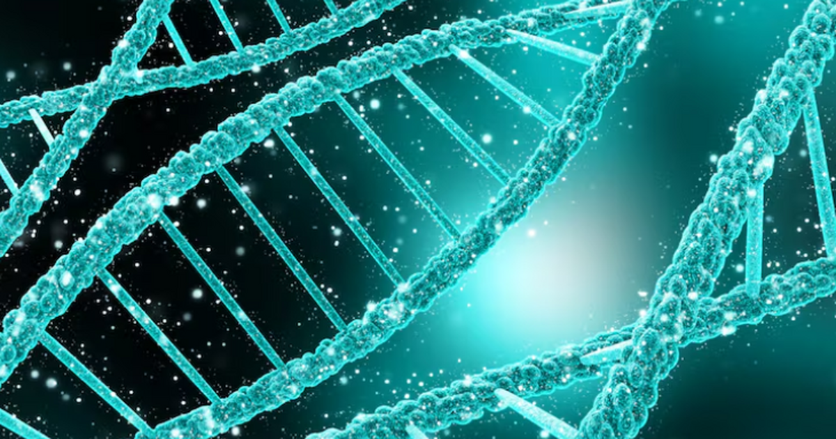 Геном часто описывают как «инструкцию по эксплу...