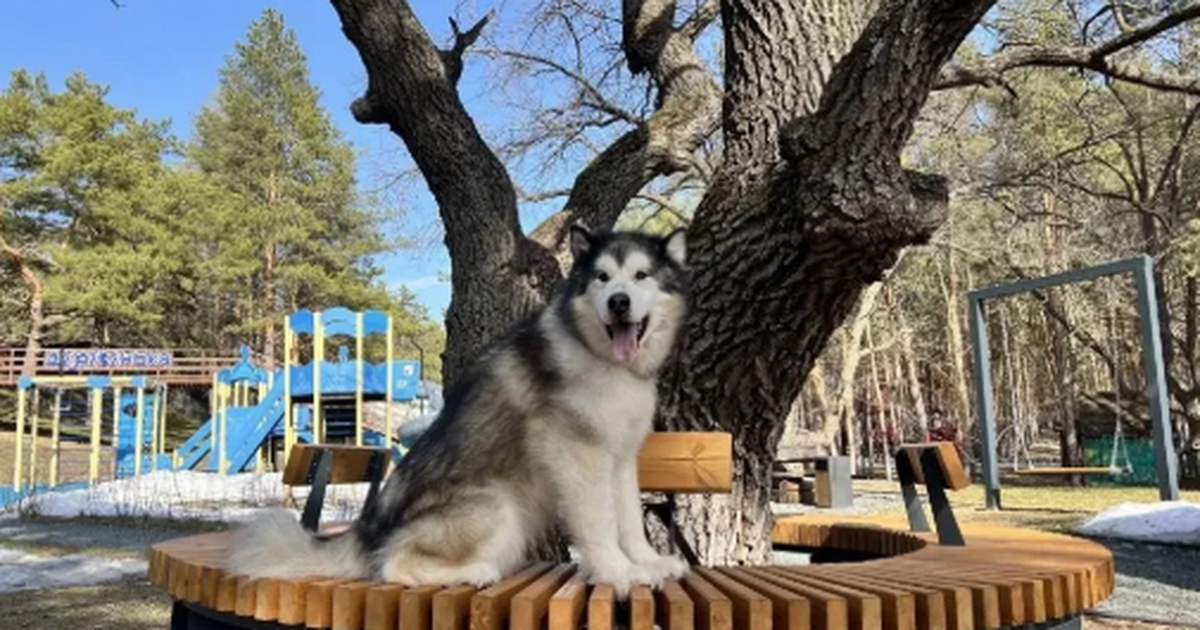В Самарской области продолжается конкурс грантов для туристических проектов Гранты предоставляются юрлицам и ИП для реализа...