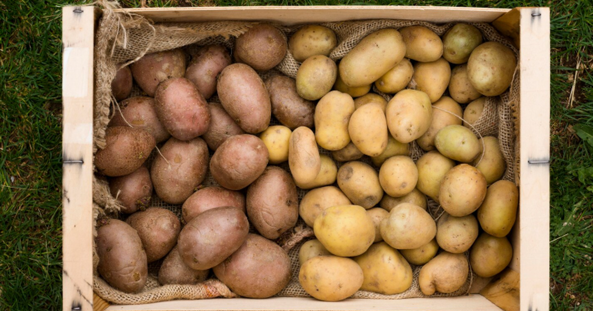 Китайские биологи создали метод, позволяющий по...