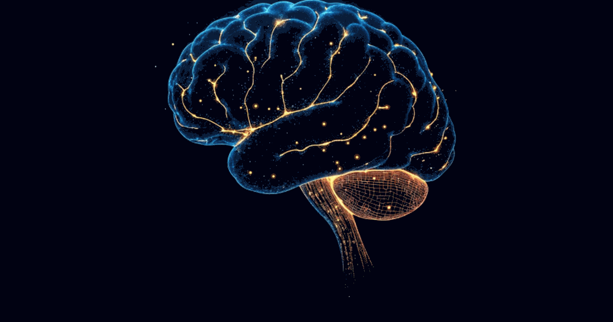 Исследование Yale School of Medicine в Neuropsy...