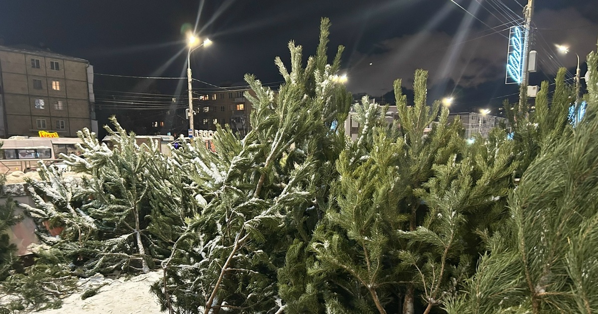 Ожидается вторжение сибирского антициклона