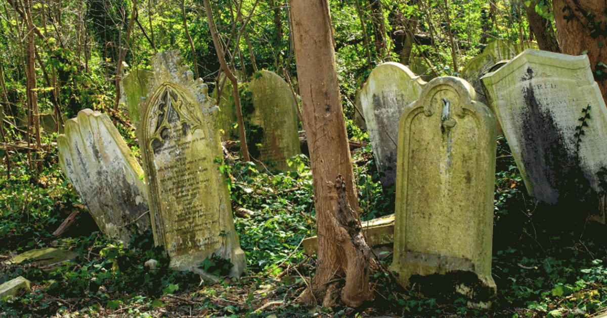 Археологи в Джераше обнаружили братское захорон...