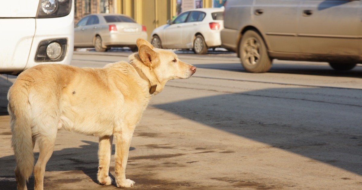 В Промышленном районе Самары произошёл инцидент...