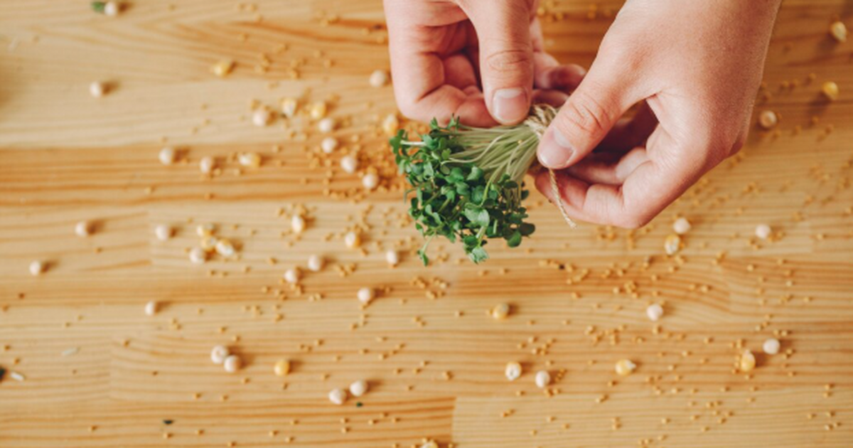 Сею укроп «под зиму» не как многие — получаю пышный и красивый урожай: рассказываю ТОП-3 секрета Много лет я ругался на укроп: весной на грядке ...