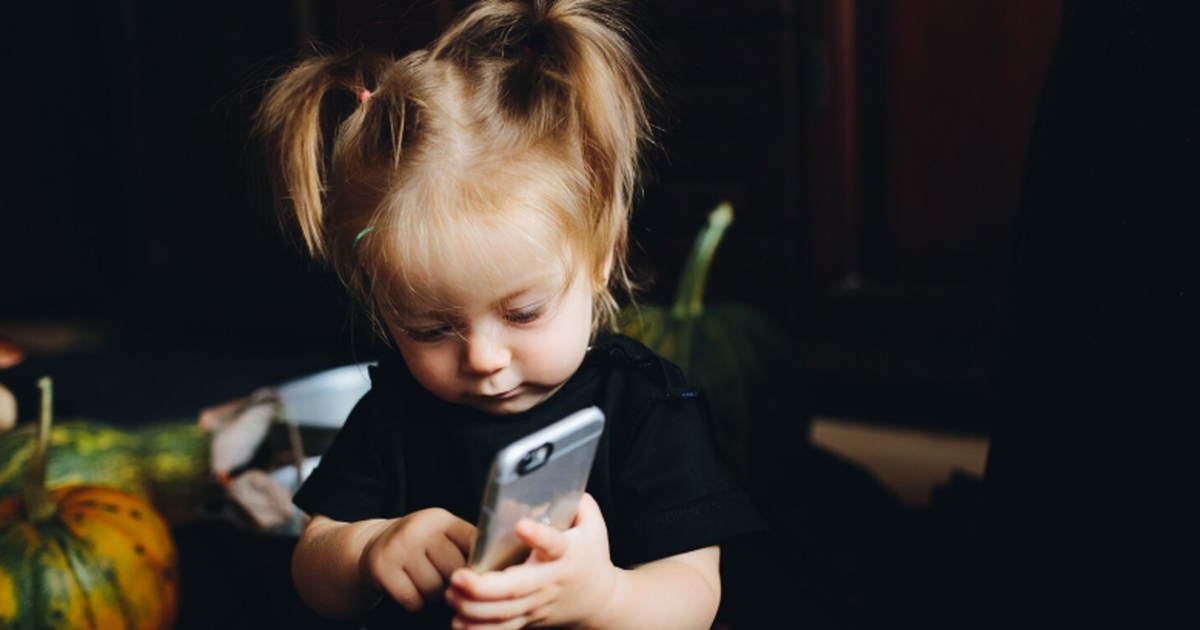 Министр просвещения Сергей Кравцов сообщил, что...