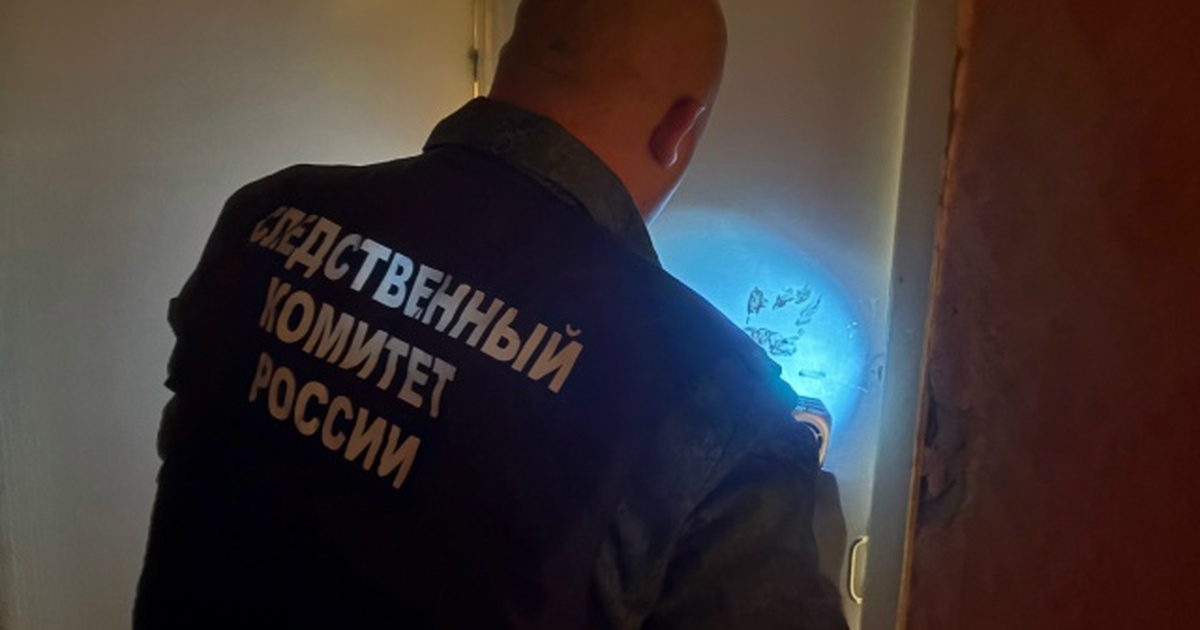В Самарской области задержан мужчина по подозрению в убийстве на почве ревности По данным следствия, преступление произошло 8 с...