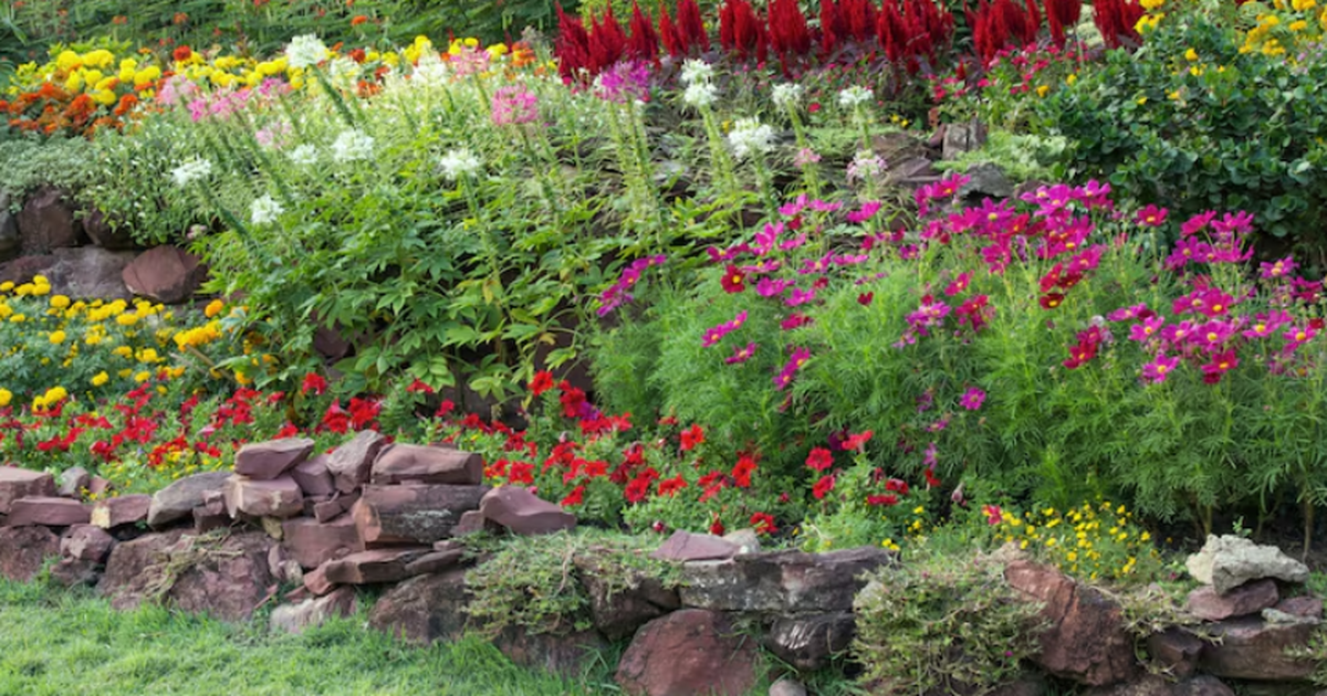 До появления цветов растения привлекали насекомых инфракрасным теплом Учёные из Гарварда показали, что задолго до поя...