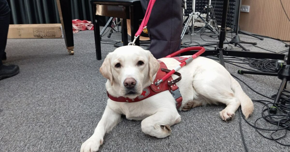 Пес Снежок сопровождает своих хозяев - студенто...