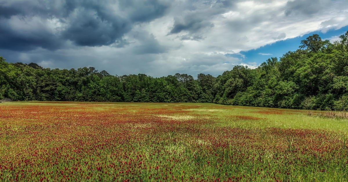 Ученые предполагают, что он был местом сбора ло...
