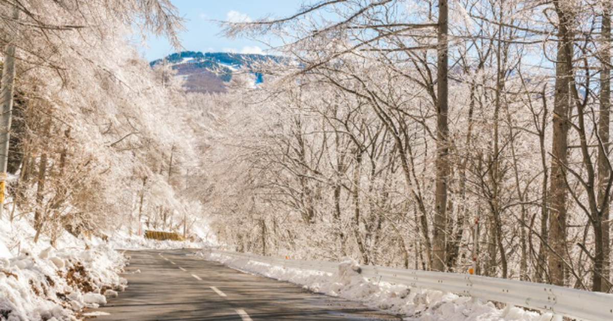 Идея «зимовать за границей» давно перестала быт...