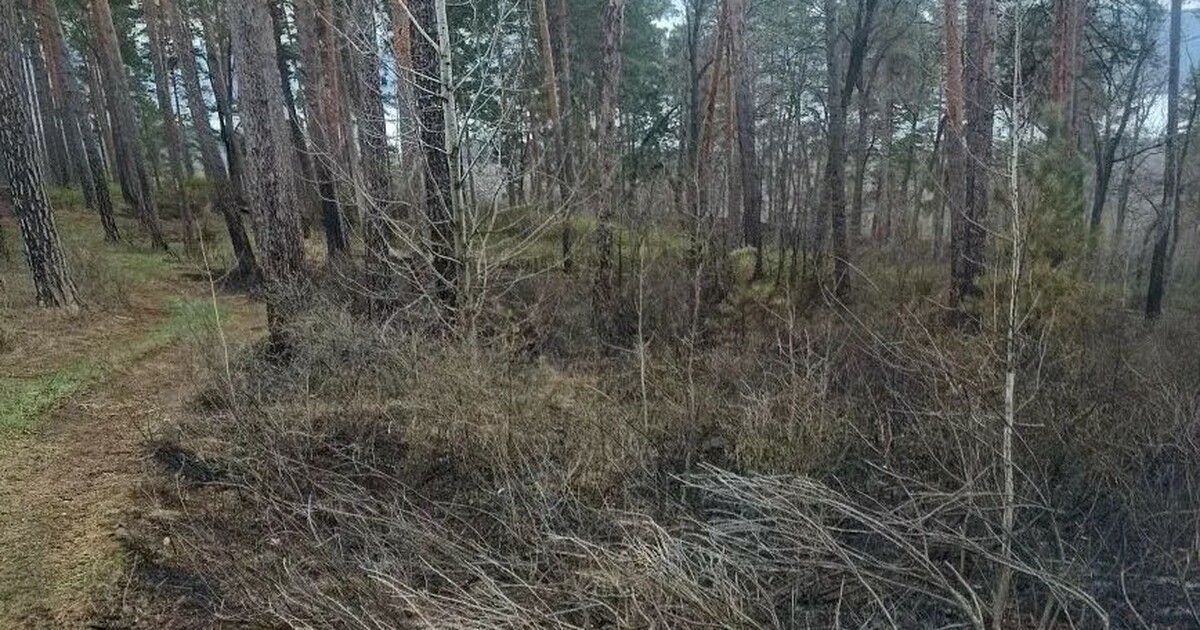 Огонь удалось полностью потушить 19 апреля в 8:40