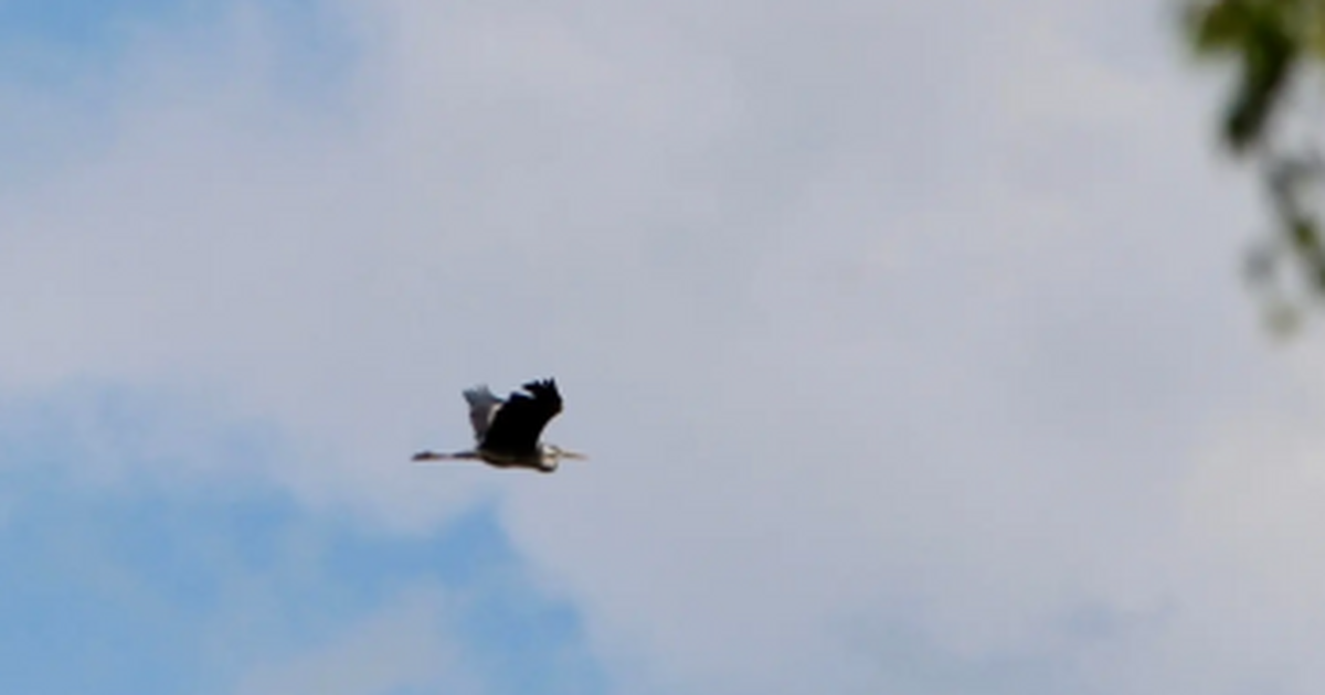 Цифры выявленных случаев превышения не являются...