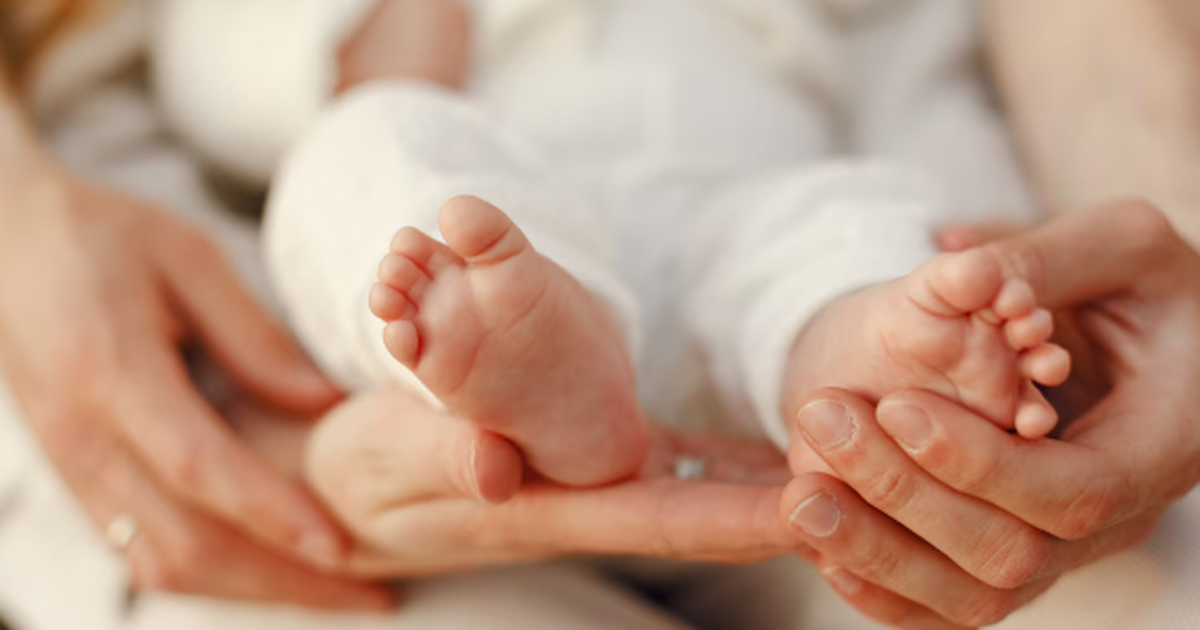 В Национальный парк Игуасу турист подверг опасн...