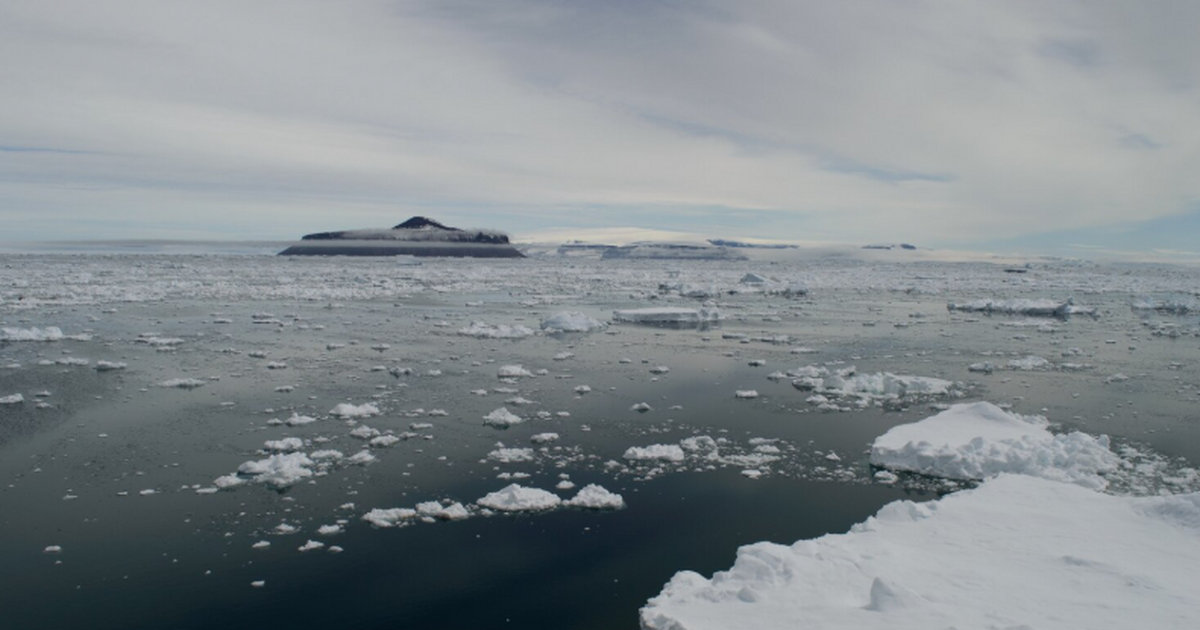 Международная экспедиция на ледоколе Polarstern...